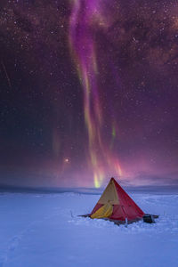 Scenic view of snow covered land against star field at night