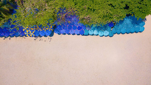 High angle view of multi colored pencils on wall