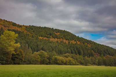 Scenic view of landscape against sky