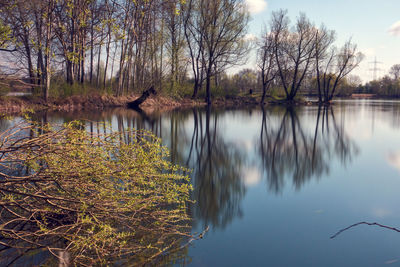 Scenic view of lake by trees against sky