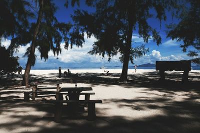 Empty bench on beach