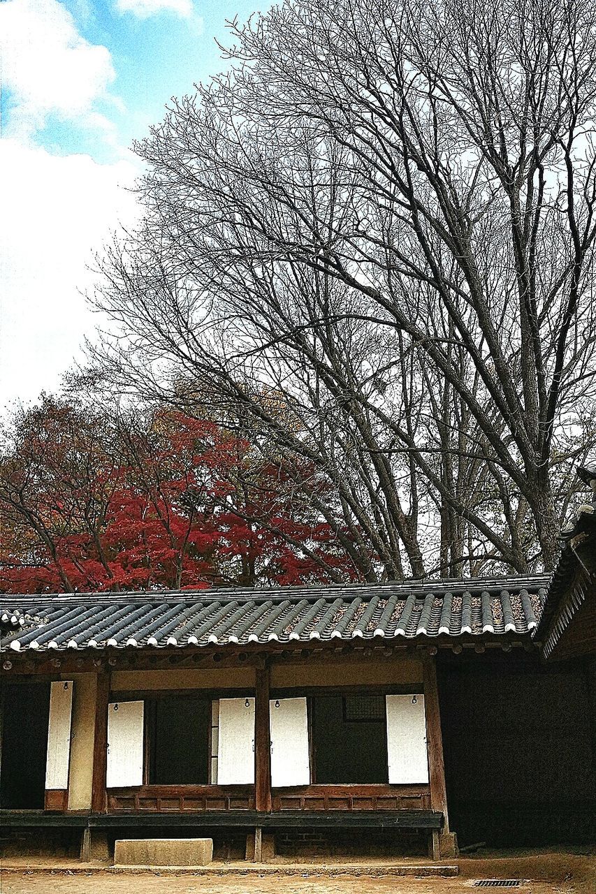 architecture, building exterior, built structure, window, bare tree, low angle view, house, residential building, tree, residential structure, sky, branch, building, roof, day, no people, outdoors, facade, city, brick wall