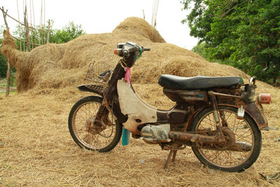 Horse cart on field