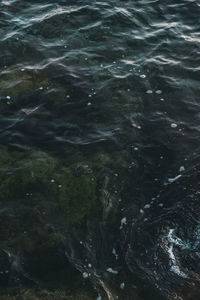 Full frame shot of rippled water