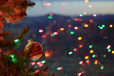 Close-up of illuminated christmas tree at night