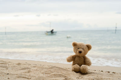 Teddy bear on shore against sea at beach