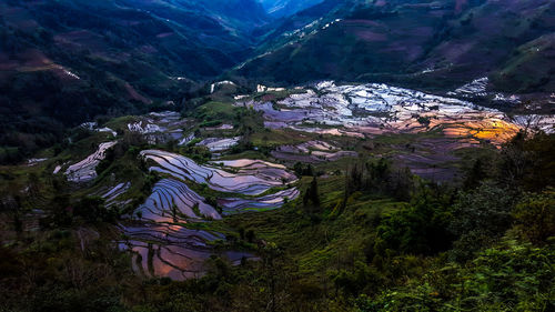 High angle view of terraced field during sunset