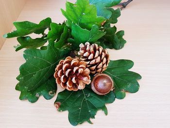 High angle view of fruits on table