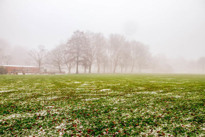 Scenic view of field against sky during winter