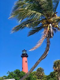 Low angle view of coconut palm tree against blue sky