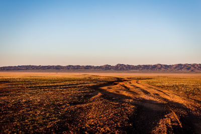 Scenic view of agricultural field against clear sky