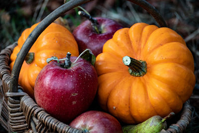 Close-up of pumpkin