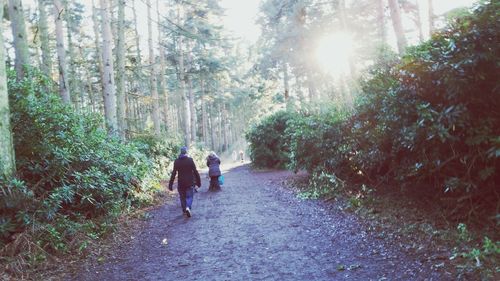 Rear view of people walking in forest