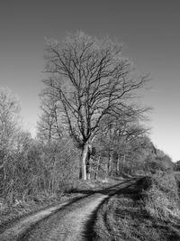 Road amidst bare trees on field against sky