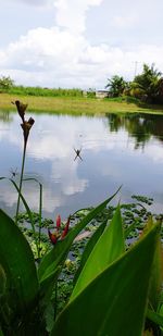 Scenic view of lake against sky