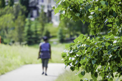 Rear view of woman walking by plants