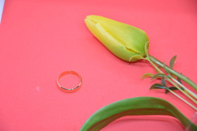 High angle view of green chili peppers against red background