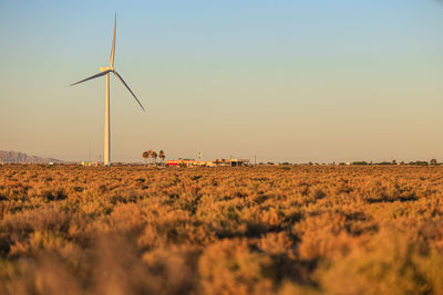 Desert,  windmills , high angle view of agricultural field, desert, sunset