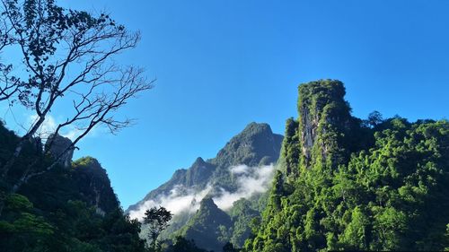 Low angle view of trees against clear blue sky