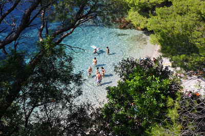 High angle view of people in water at forest