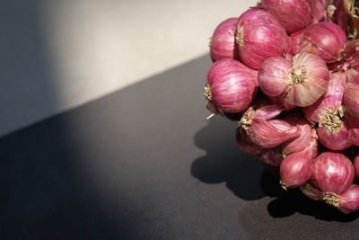 High angle view of pink flowers on table