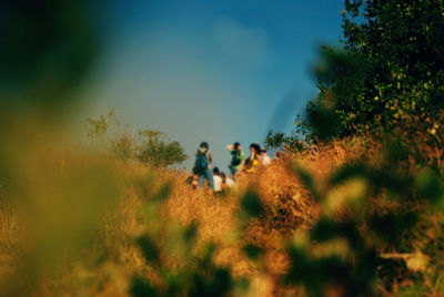 People walking on grass against sky