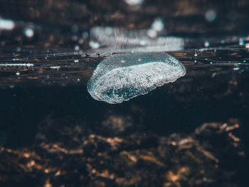 Close-up of bubbles in water