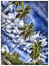 Low angle view of trees against cloudy sky