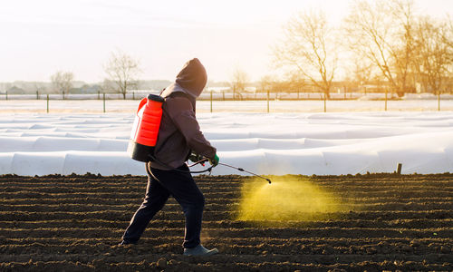 The farmer treats the field from weeds and grass for growing potatoes. use chemicals in agriculture