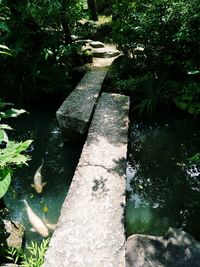 High angle view of fountain by trees