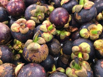 Full frame shot of blueberries