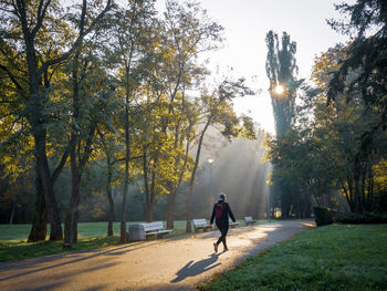 Rear view of man walking on footpath in park