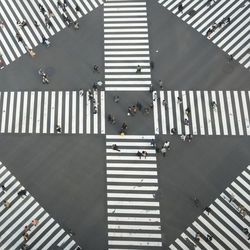 Directly above shot of people crossing street in city