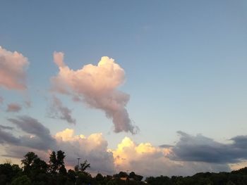 Low angle view of trees against sky