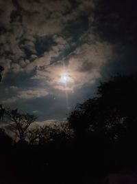 Low angle view of silhouette trees against sky at night