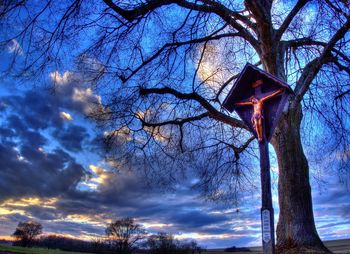 Low angle view of illuminated tree against sky