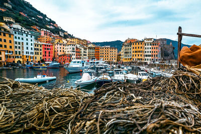 Camogli fishing harbour village and houses, genova, liguria, italy