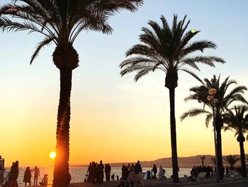 Silhouette palm trees on beach against sky during sunset