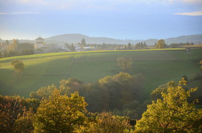 Scenic view of field against sky