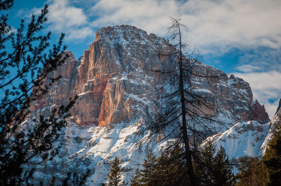 Low angle view of rock formation amidst trees against sky