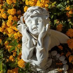Close-up of angel statue in park