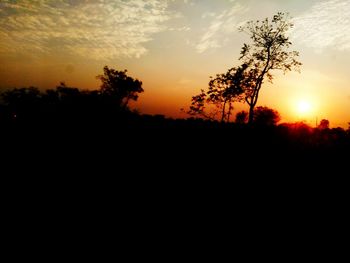 Silhouette of trees at sunset