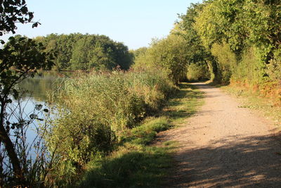 Scenic view of lake amidst trees against clear sky