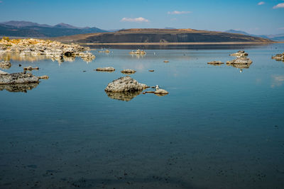 Blue sky over mono lake midday, rocks in blue water white mineral deposits