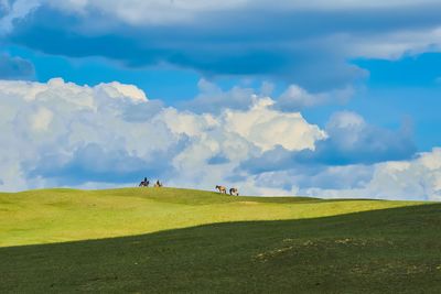 The bayanbulak lake is an important breeding ground for swans and other waterfowl, even horses.