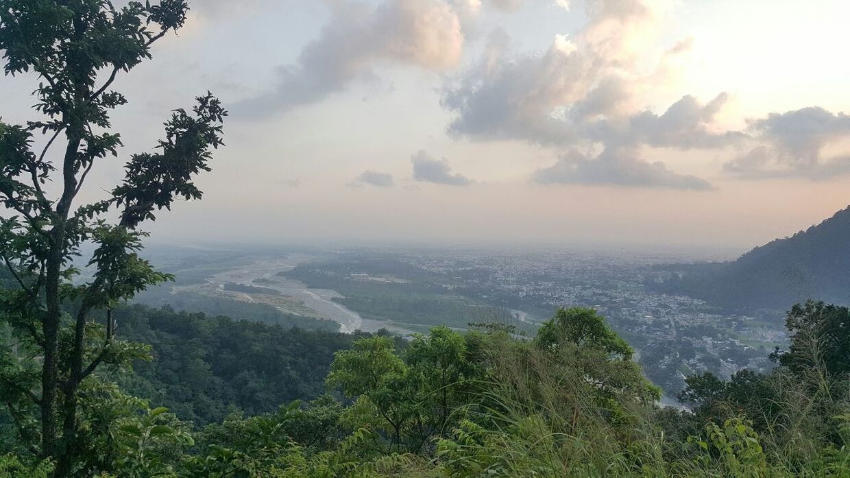 SCENIC VIEW OF FOREST AND MOUNTAINS AGAINST SKY