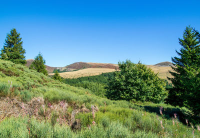 Scenic view of land against clear blue sky