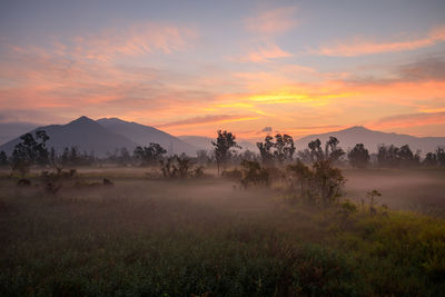 Scenic view of field against sky during sunset