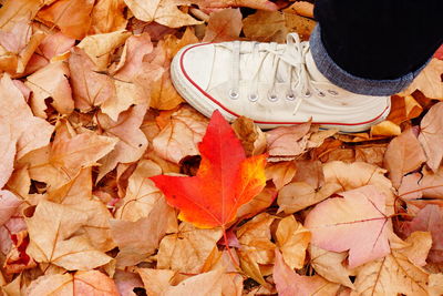 Low section of person standing on autumn leaves