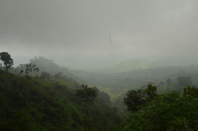 Scenic view of forest against sky during foggy weather
